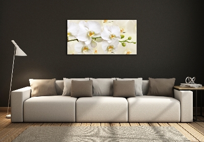 Wall art on glass Orchid