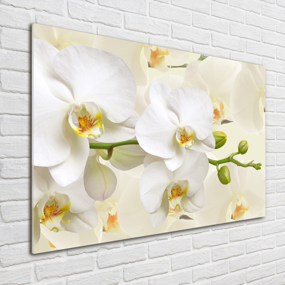 Wall art on glass Orchid