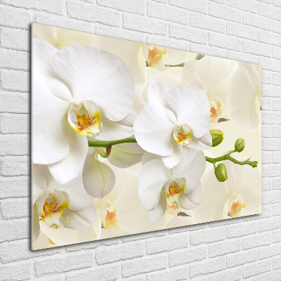 Wall art on glass Orchid