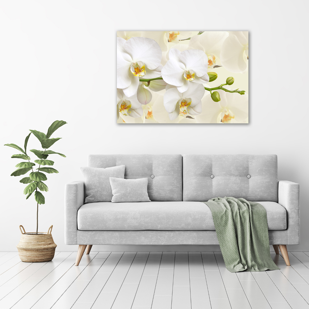 Wall art on glass Orchid