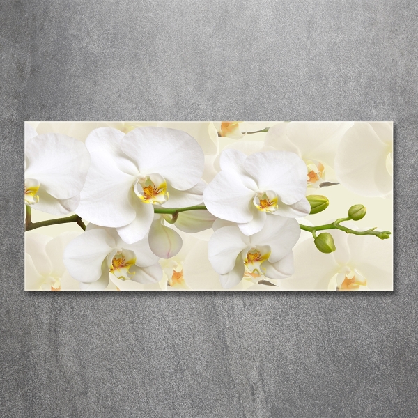 Wall art on glass Orchid