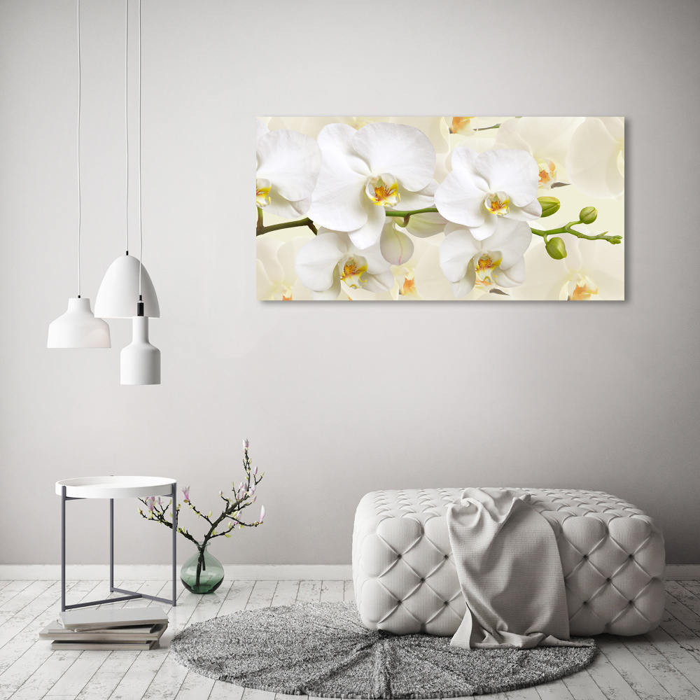 Wall art on glass Orchid