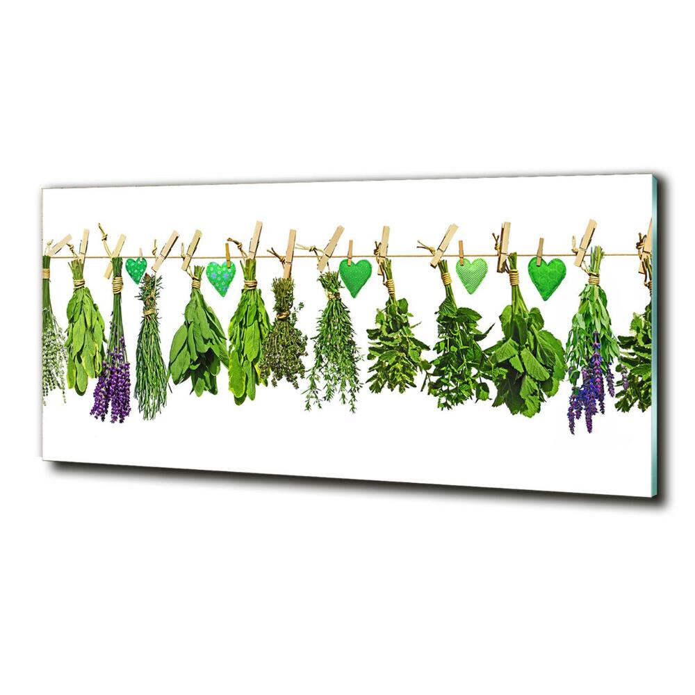 Glass art print Herbs on a string