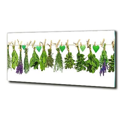 Glass art print Herbs on a string