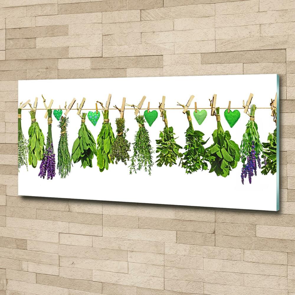 Glass art print Herbs on a string