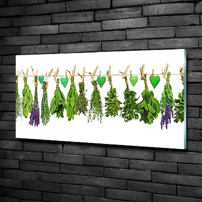 Glass art print Herbs on a string