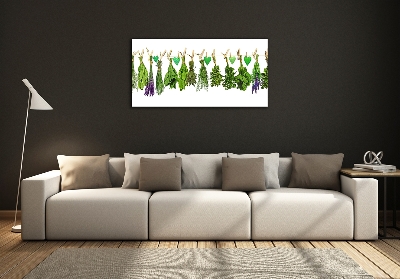 Glass art print Herbs on a string