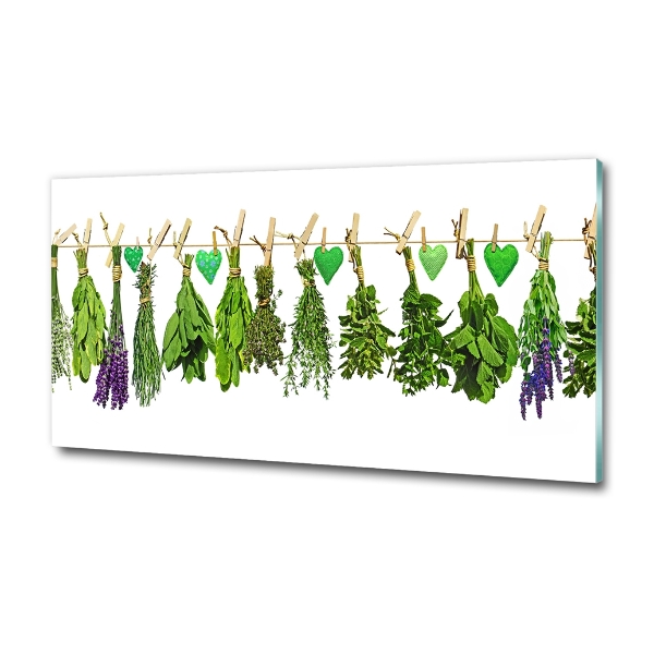 Glass art print Herbs on a string