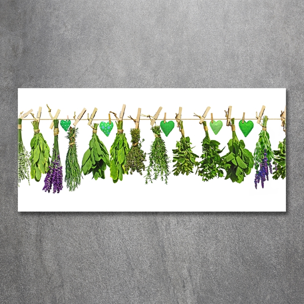 Glass art print Herbs on a string