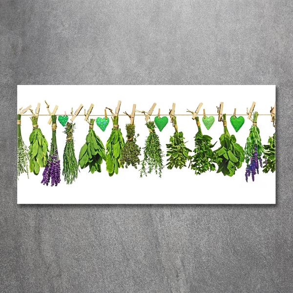 Glass art print Herbs on a string