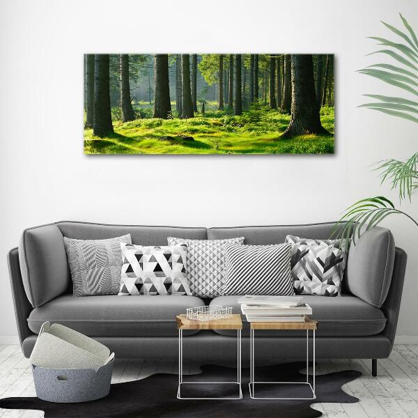 Wall art on glass Spruce forest