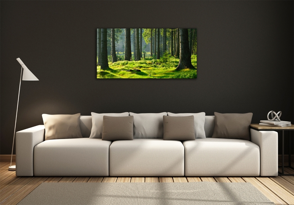 Wall art on glass Spruce forest