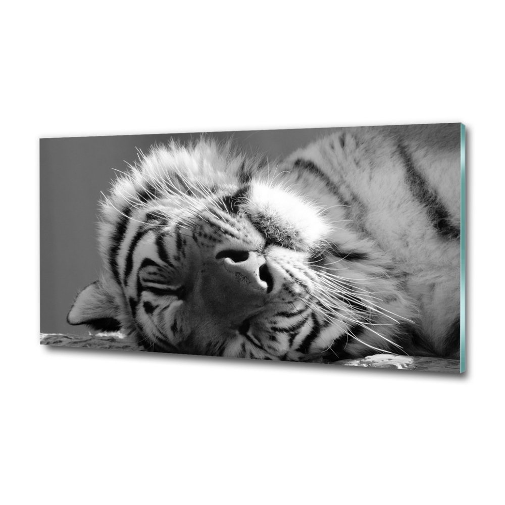 Wall art on glass Sleepy tiger