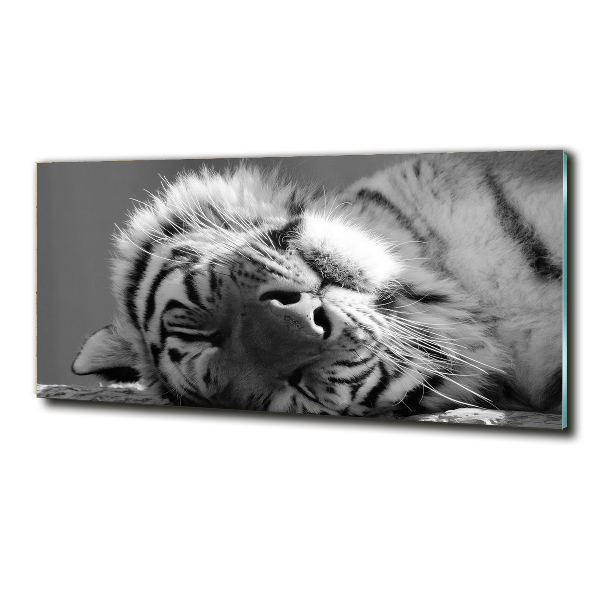 Wall art on glass Sleepy tiger