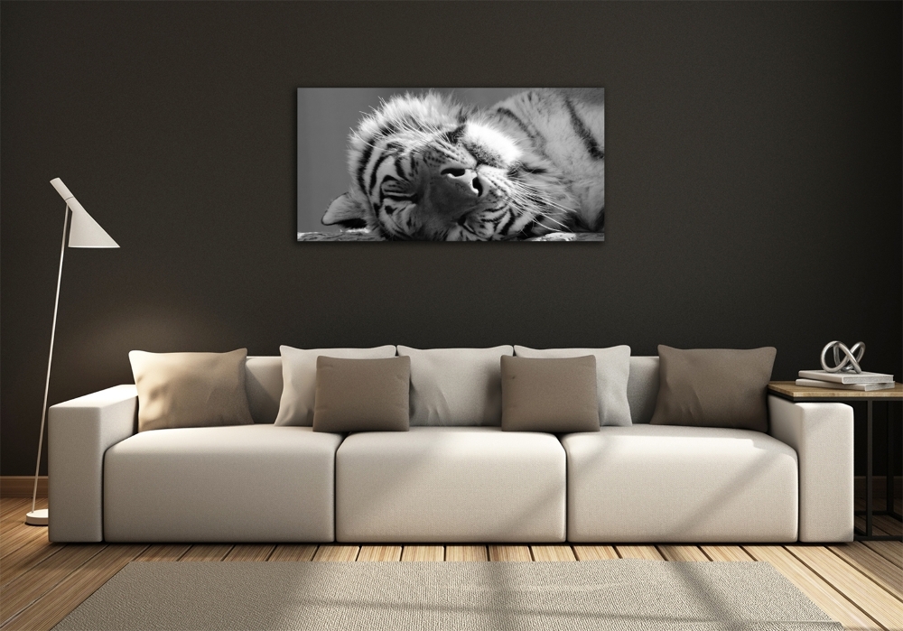 Wall art on glass Sleepy tiger