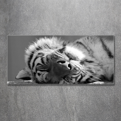 Wall art on glass Sleepy tiger