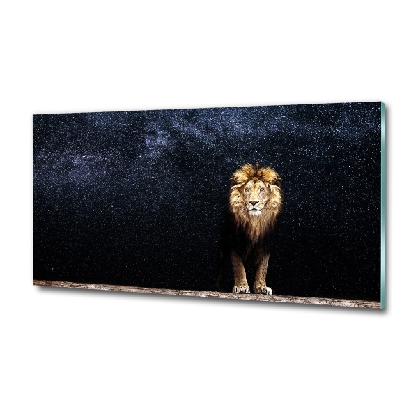 Lion against the backdrop of the stars