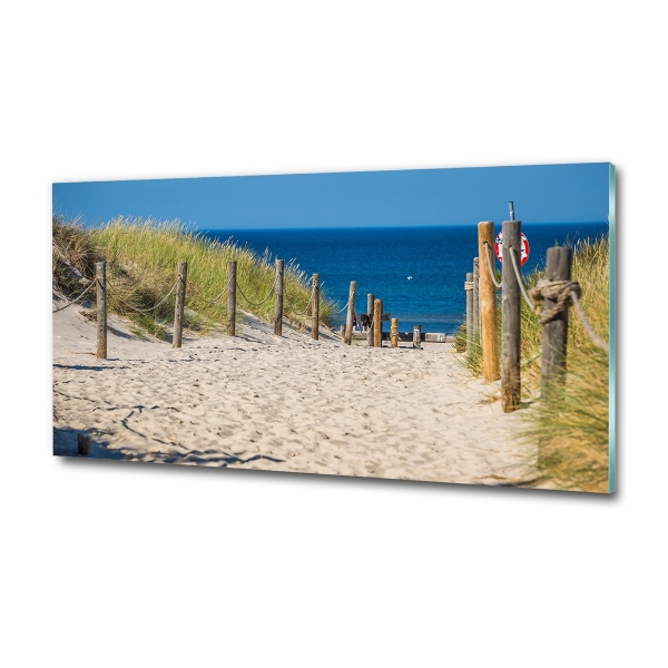 Wall art on glass Coastal dunes