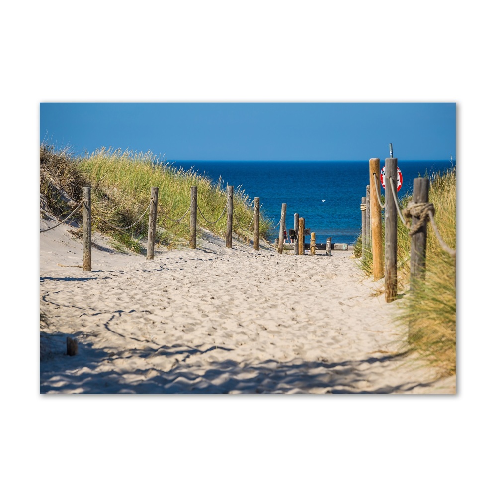 Wall art on glass Coastal dunes