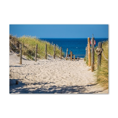 Wall art on glass Coastal dunes