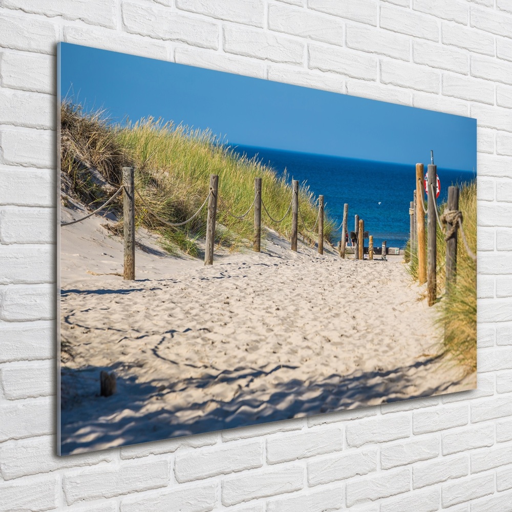 Wall art on glass Coastal dunes