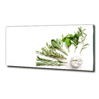 Wall art on glass Herbs