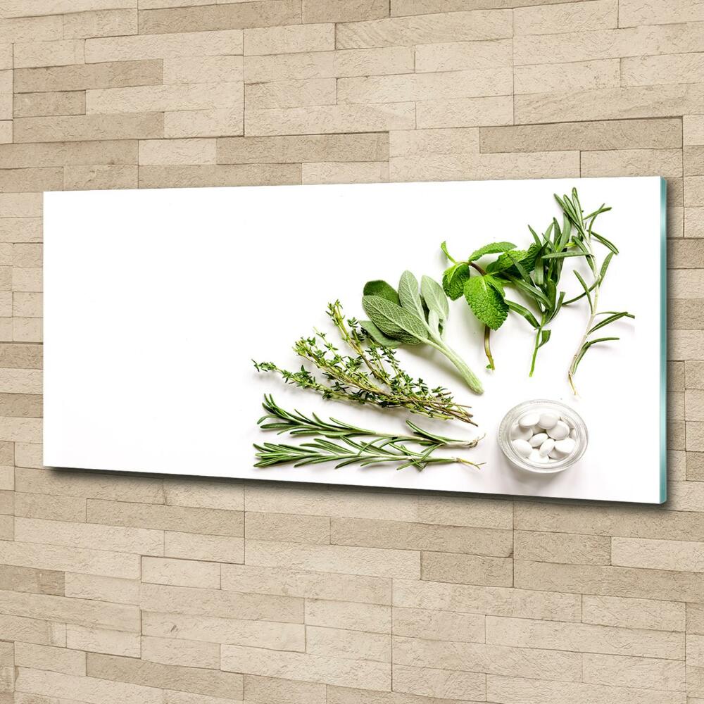 Wall art on glass Herbs