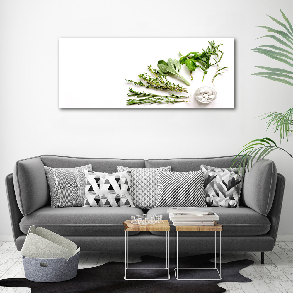 Wall art on glass Herbs