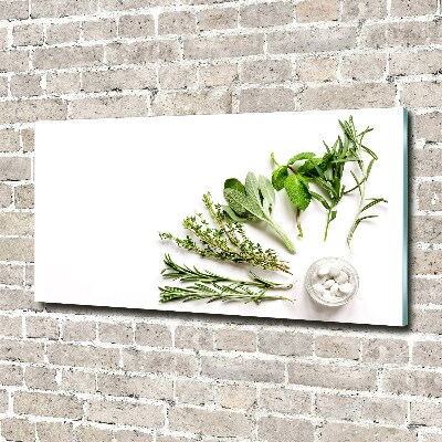 Wall art on glass Herbs