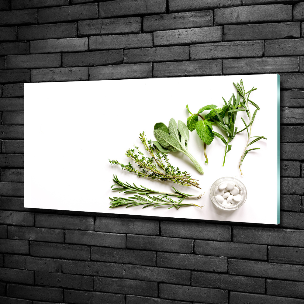 Wall art on glass Herbs