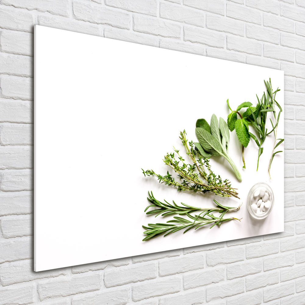 Wall art on glass Herbs