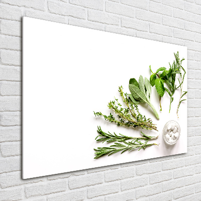 Wall art on glass Herbs