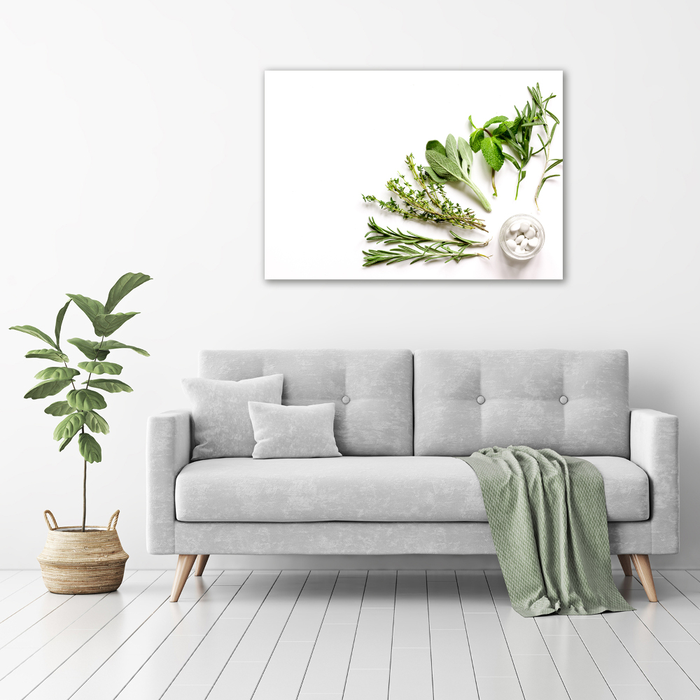 Wall art on glass Herbs