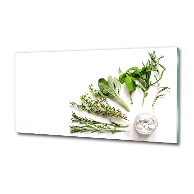 Wall art on glass Herbs