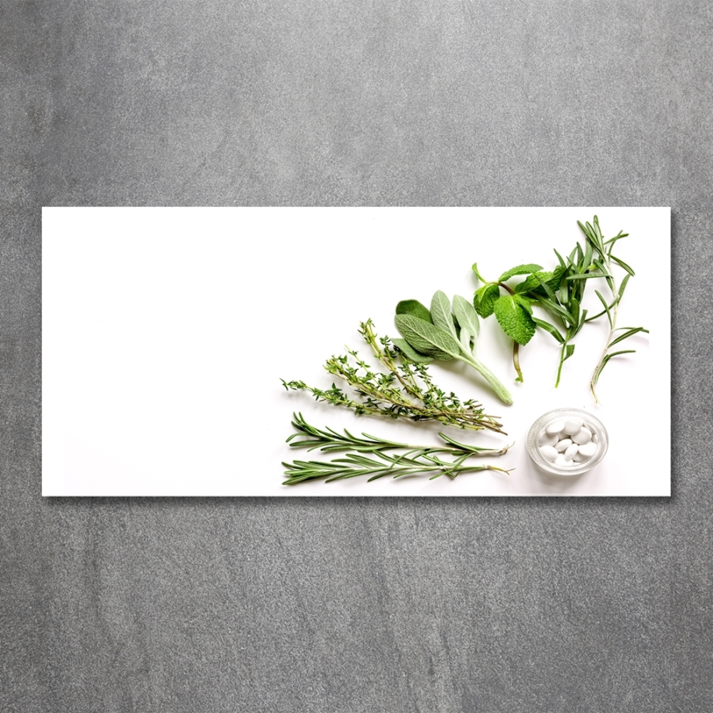 Wall art on glass Herbs