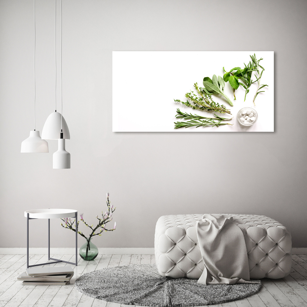 Wall art on glass Herbs