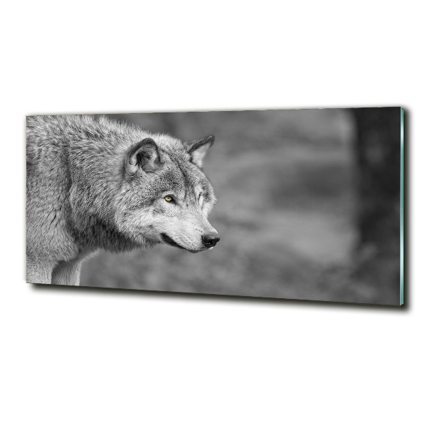 Glass art print Gray wolf