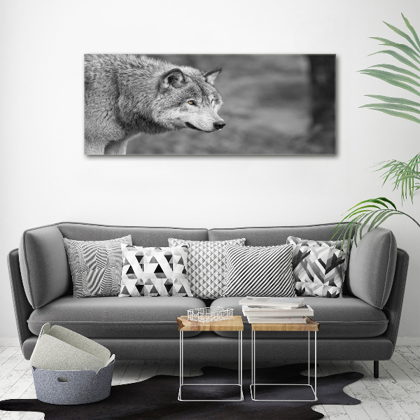 Glass art print Gray wolf