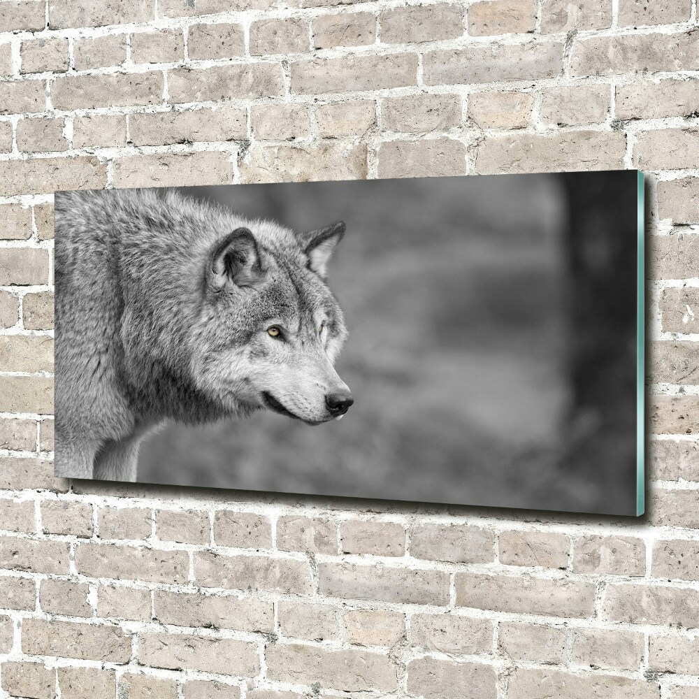 Glass art print Gray wolf