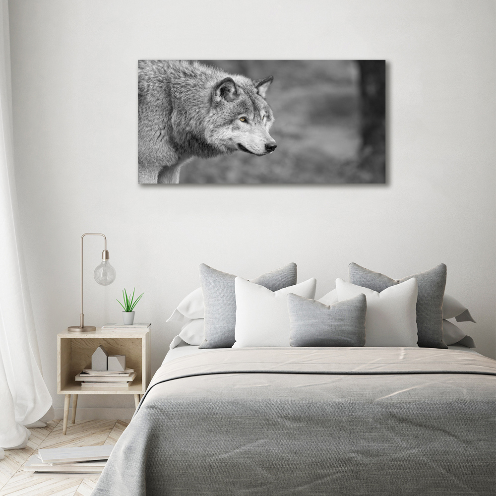 Glass art print Gray wolf