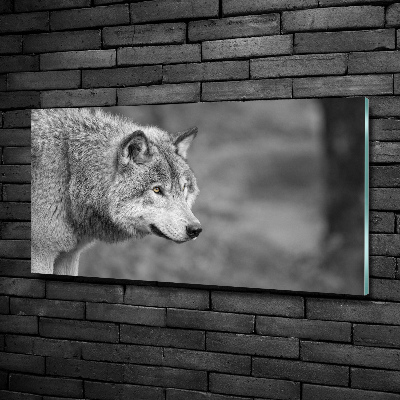 Glass art print Gray wolf