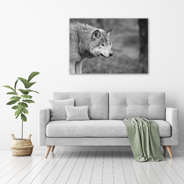 Glass art print Gray wolf