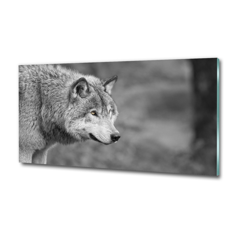 Glass art print Gray wolf