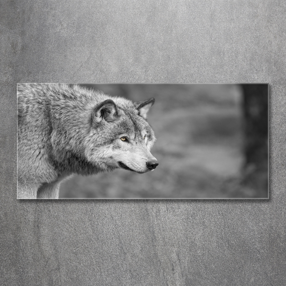 Glass art print Gray wolf