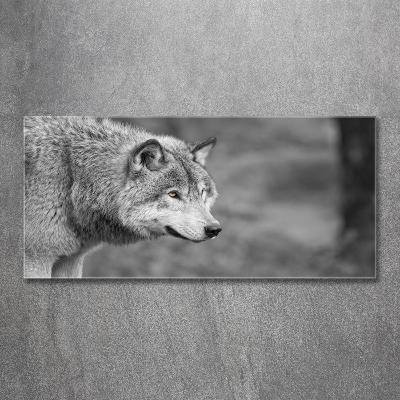 Glass art print Gray wolf