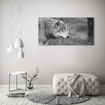 Glass art print Gray wolf