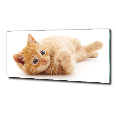 Wall art on glass Red cat