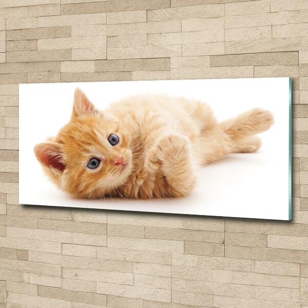 Wall art on glass Red cat