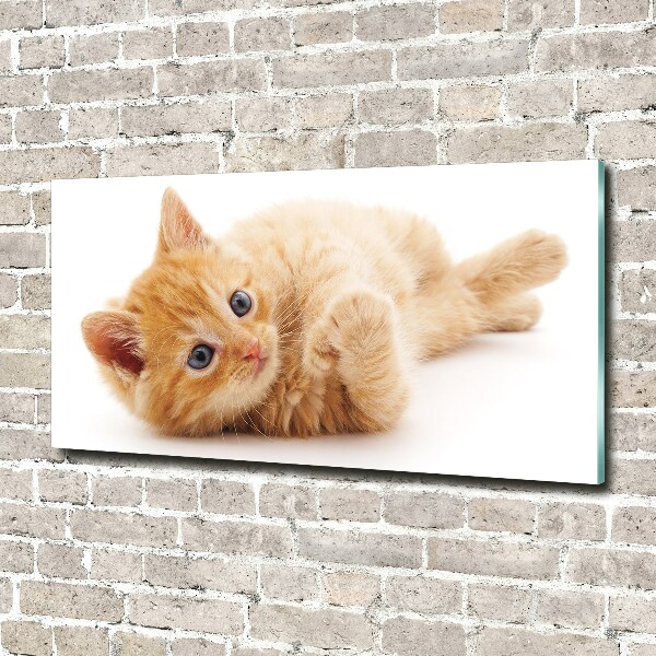 Wall art on glass Red cat