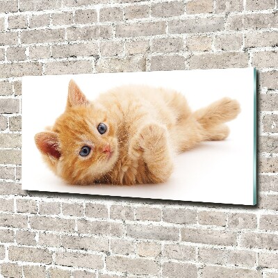 Wall art on glass Red cat